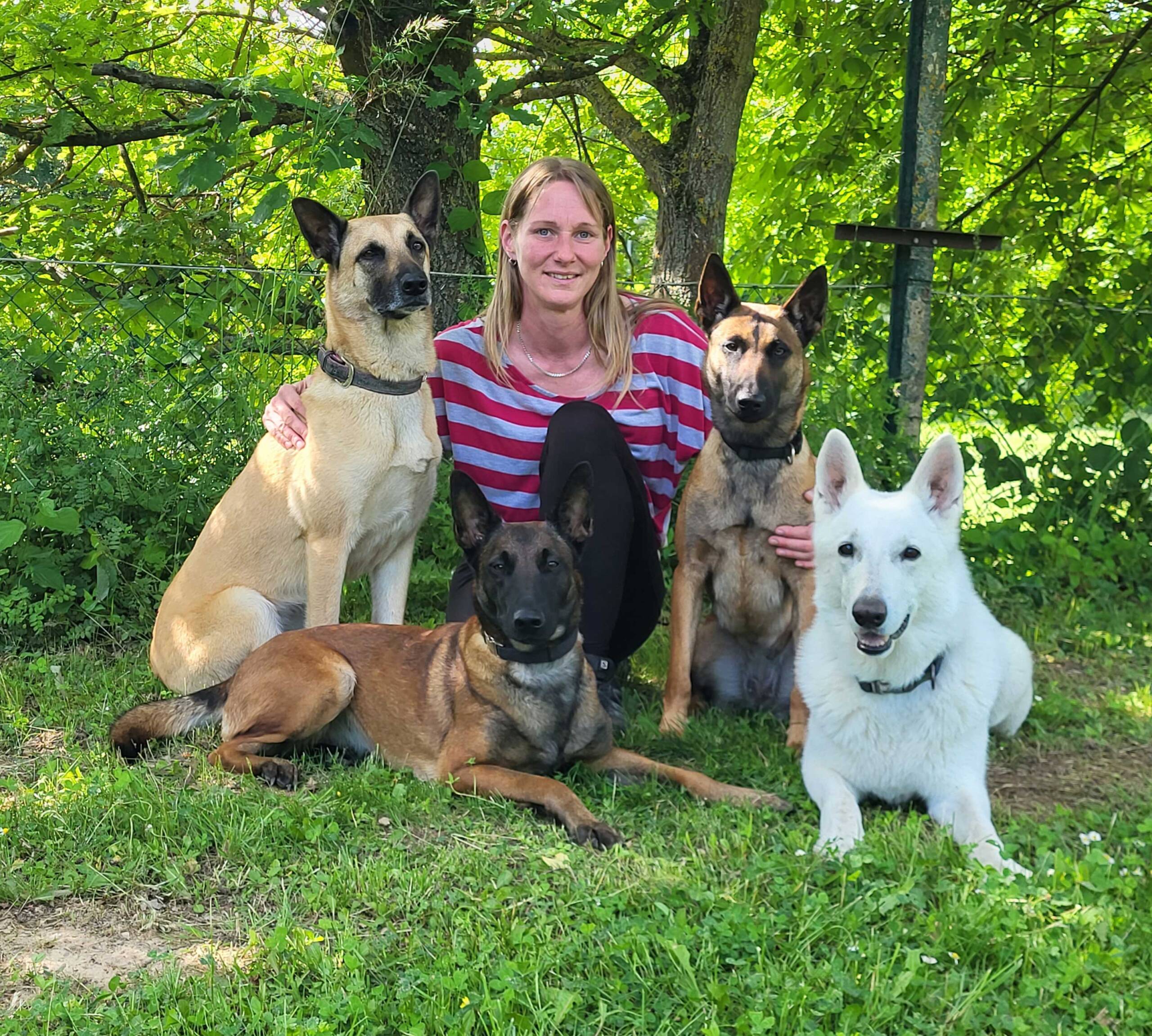 Sandras Pfoten Akademie Mobile Hundeschule