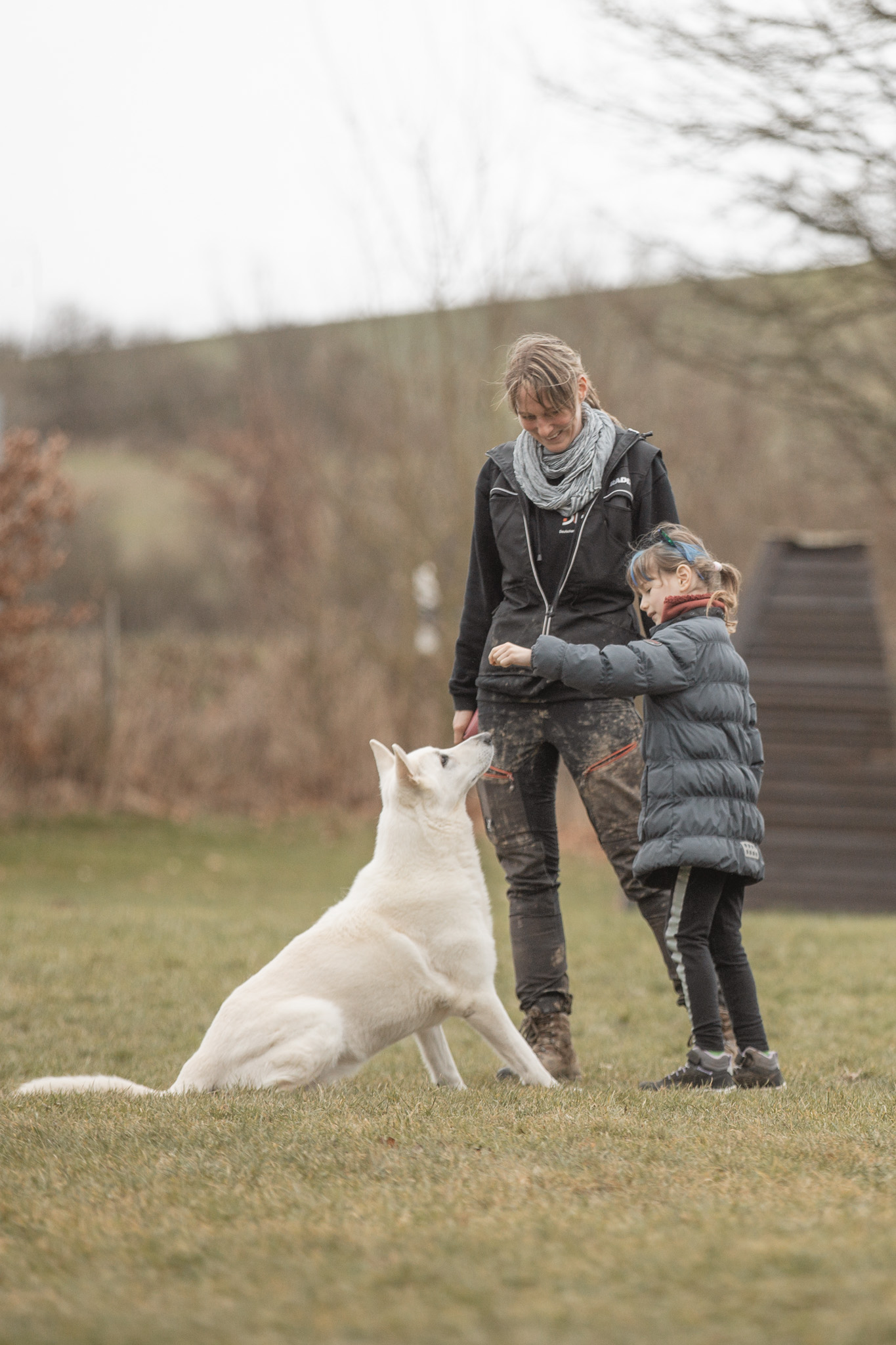 Sandras Pfoten Akademie Mobile Hundeschule