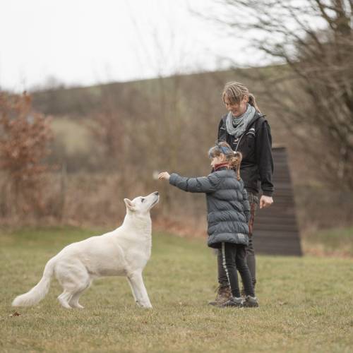 sandraspfotenakademie_mobile_hundeschule_plaidt